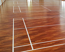 Timber Sports Floor