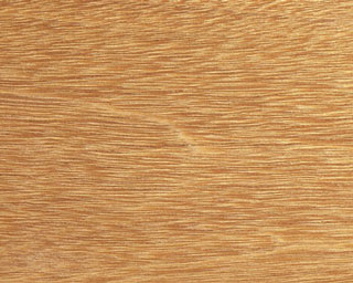 Balau Wood Close-up