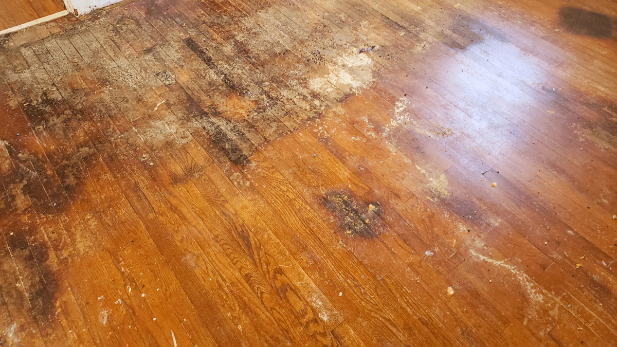 Restore Old Wood Floors