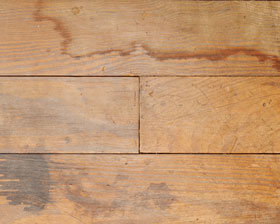 Stains & Discoloration Restoration - Resilient Timber