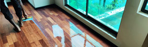 Timber floor polish
