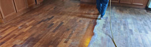 Timber floor sanding